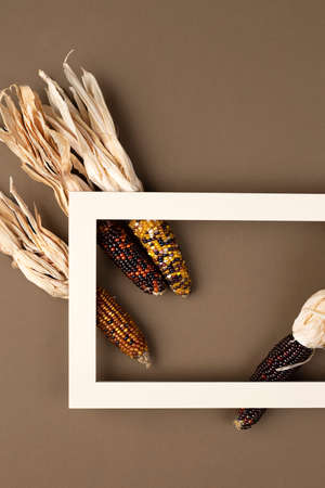 Autumn composition. Frame made of corn on brown background. Fall, Thanksgiving day concept. Flat...