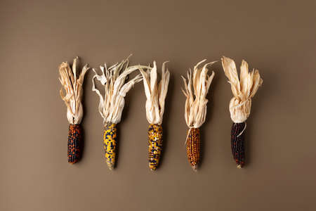 Creative Autumn layout made of corn on brown background. Fall, Thanksgiving day concept. Flat lay,...