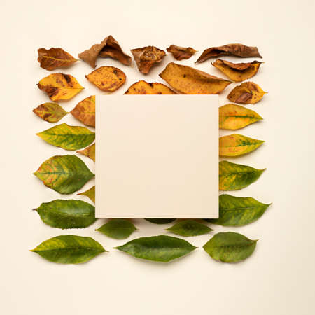 Creative fall frame made with multicolored tree leaves from green to yellow. Autumn mock up or...
