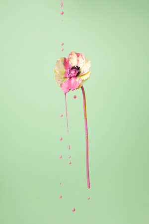 Creative autumn layout made of flower with dripping pink paint on pastel background. Minimal fall or floral concept.の写真素材