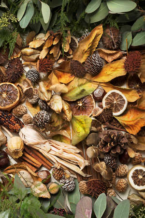 Autumn, fall or Thanksgiving composition made of dried leaves, lemons and pine cones. Creative template mockup with copy space. Flat lay.の写真素材