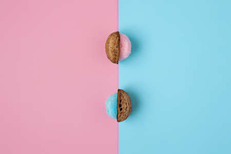 Creative fall layout made with nutshell and wool ball on dual tone pastel background. Minimal autumn layout. Flat lay, top view.の写真素材
