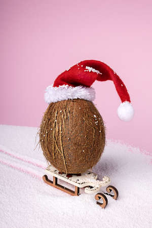 Christmas layout made with coconut wearing Santa's hat and riding sleigh on pastel pink background. Minimal winter or New Year concept with copy space.の写真素材