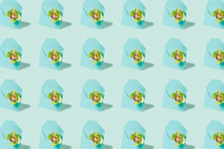 Flowers pattern composition made of orchid flower and envelope on pastel mint background. Minimal contemporary spring bloom, valentines day, 8th march or floral concept. Flat lay, top view.の写真素材