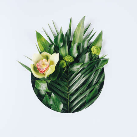 Creative minimal arrangement with green leaves and orchid flower on bright white background. Creative nature or spring bloom concept. Flat lay, top view.の写真素材