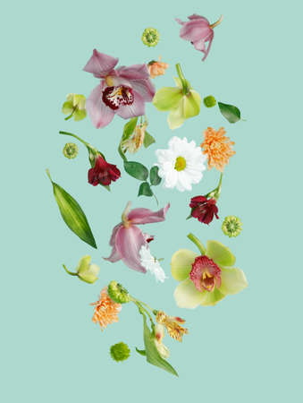 Beautiful flying pastel flowers falling and levitating against mint background. Creative spring...