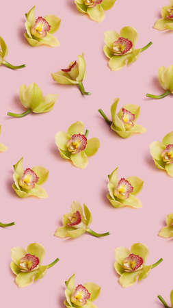 Floral pattern with fresh green orchids on pastel pink background. Minimal spring bloom, tropical or holiday layout. Flat lay, top view.の写真素材