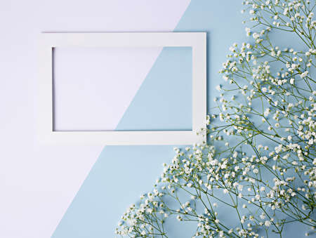 Frame border made with white field flowers on two tone pastel background. Creative spring layout...