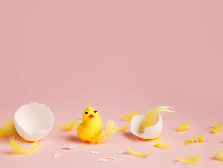 Newborn yellow chicken hatched from egg, surrounded with yellow feathers and cracked eggshell on pastel pink background. Creative Easter concept.の写真素材