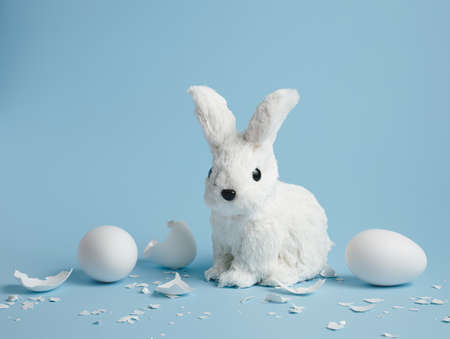 White rabbit sitting among white cracked eggs and eggshells on pastel blue background. Minimal Easter concept. Spring holiday symbol.の写真素材