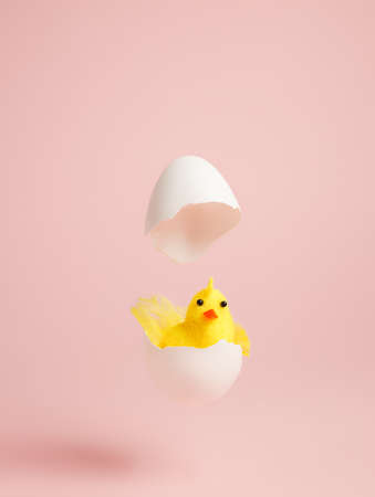 Levitating white cracked egg with chick inside against pastel pink background. Minimal Easter concept. Abstract arty spring holiday composition.の写真素材