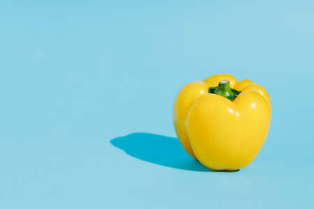 Fresh yellow bell pepper isolated on vibrant blue background. Creative organic vegetable concept....