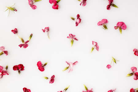 Spring herbs, petals and pink flowers floating on white liquid background. Violet and pink spring blooming floral pattern. Creative natural concept. Flat lay, top view.の写真素材