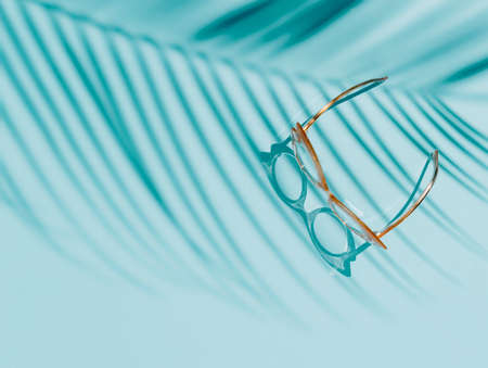 Woman's eye glasses isolated on a bright blue background under the summer shadow of palm leaf. Relaxation is found in reading. Creative tropical sea vacation or leisure concept. Flat lay.の写真素材
