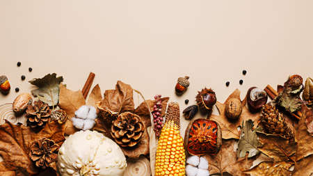 Collection of dry autumn fruits and leaves on pastel beige background. Creative fall concept....