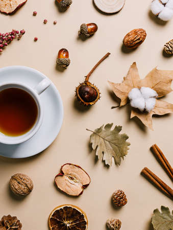 A cup of tea with cinnamon and dry apples surrounded by dry leaves and fall fruits on pastel beige background. Creative autumn season or Thanksgiving day concept. Cozy October breakfast idea. Flat layの写真素材