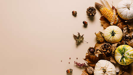 Fall composition with dry leaves, autumn spices, chestnuts, nuts, pumpkins, and gourds isolated on pastel beige background. Creative autumn season concept. Greeting card with copy space. Flat lay.の写真素材