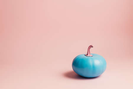 Pumpkin painted in blue with pink petiole isolated on a pastel pink background. Creative Halloween or Thanksgiving concept. Fall fruit composition with copy space for text.の写真素材