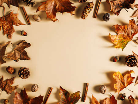 Frame of dry autumn maple leaves, cinnamon sticks, acorns, and pine cones on pastel beige...