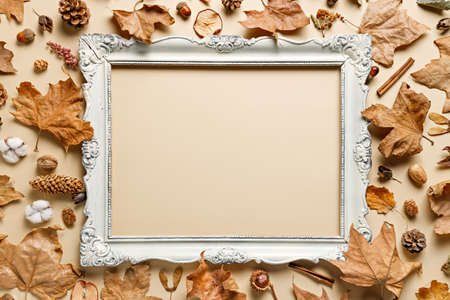 Vintage white baroque frame surrounded with autumn dry leaves and fruits on a pastel beige background. Creative fall season concept. Retro aesthetic border with copy space for text. Flat lay.の写真素材