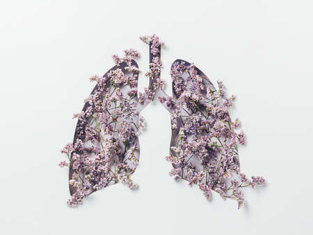 Human lungs made with purple field flowers on white background. Minimal coronavirus or pneumonia concept. Green, world health or environment day and ecology concept. Flat lay.の写真素材