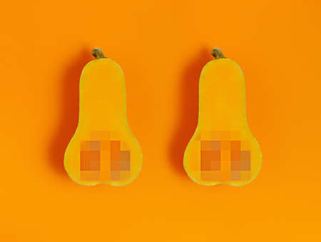 Two halves of ripe gourds with pixelated censored seeds isolated on vibrant orange background. Creative censorship or vegetable food concept. Thanksgiving fall seasonal idea. Fashion minimal art.の写真素材