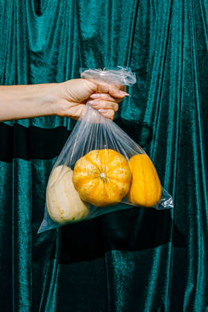 Ripe and fresh autumn nutmeg gourdes in a transparent plastic bag carried by a woman's hand against velvet green curtain in the background. Creative fall food concept. Contemporary still life trend.の写真素材
