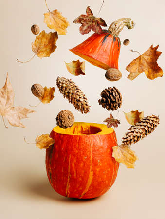 Autumn composition with dry leaves, pine cone and acorns flying our from a cut pumpkin on pastel beige background. Creative fall season concept. Minimal Halloween or Thanksgiving party decoration.の写真素材