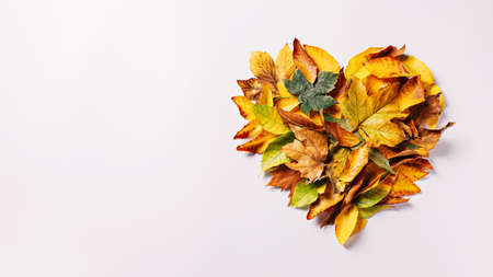 Heart made of dry autumn leaves on a bright white background. Natural invitation card with copy space. Creative fall season concept. Mothers day or Valentines love arrangement. Flat lay.の写真素材