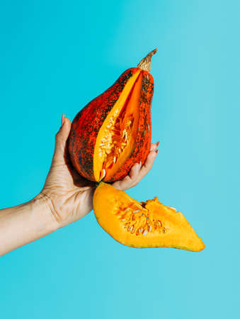 Fall veggie composition with woman's hand holding orange pumpkin gourd against contrast vibrant blue background. Creative Thanksgiving concept. Minimal vegetable food idea. Autumn harvest.の写真素材