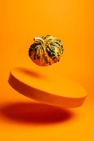 Creative Fall layout made of pumpkins on orange background. Scene stage showcase, product, promotion, sale or advertisement. Minimal Autumn, Halloween or Thanksgiving season concept. Vegetable food.の写真素材