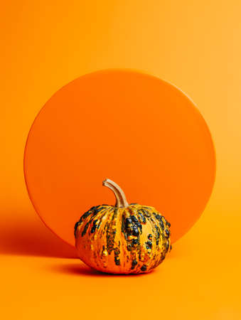 Creative Fall layout made of pumpkins on orange background. Scene stage showcase, product, promotion, sale or advertisement. Minimal Autumn, Halloween or Thanksgiving season concept. Vegetable food.の写真素材