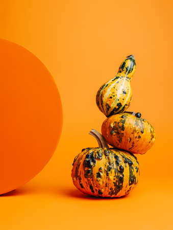 Creative Fall layout made of pumpkins on orange background. Scene stage showcase, product, promotion, sale or advertisement. Minimal Autumn, Halloween or Thanksgiving season concept. Vegetable food.の写真素材