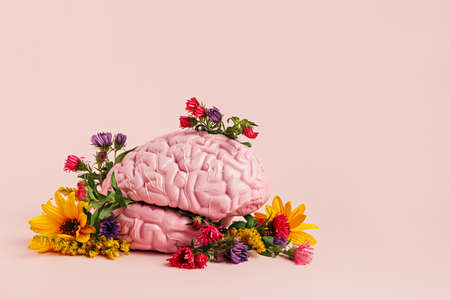 Human brain surrounded with various fresh flowers on pastel pink background. Creative positive thinking concept. Minimal Mental Health Awareness Month idea. Spring flower bloom.の写真素材