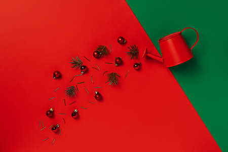Garden watering can with ornaments and buds on dual tone red and green background. Creative Christmas or New Year layout with copy space. Winter holidays concept. Flat lay, top view.の写真素材
