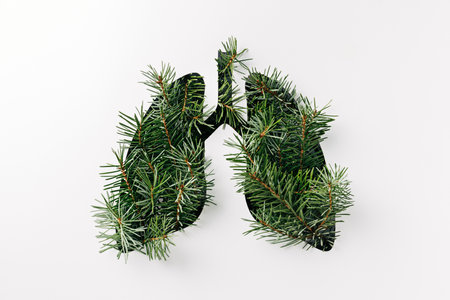 Human lungs made with evergreen fir spruce on bright white background. Creative Christmas or New year holiday concept. Minimal healthy or medical pandemic or coronavirus idea. Stay at home. Flat lay.の写真素材