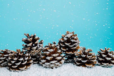 Winter scene with pine cones on a snowy surface against vivid blue background. Creative snowfall and Xmas season concept. New Year and Merry Christmas festive spirit. December holidays greeting card.の写真素材