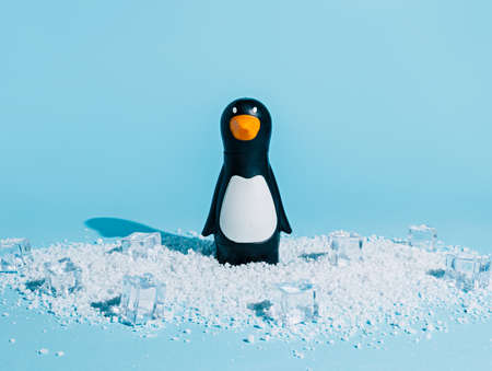 Penguin with ice cubes on blue background. Minimal winter concept.の写真素材