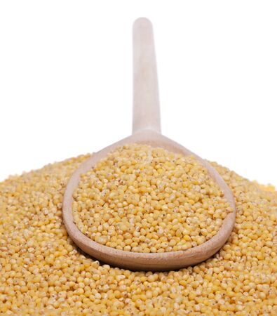 Wooden spoon with millet is on a bunch of millet, isolated on whiteの写真素材