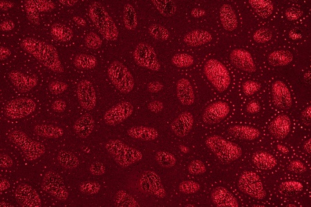 red leather, suede coated with paint, varnish