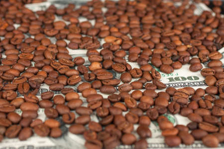 100 Dollars covered with coffee beans can be used as backgroundの写真素材