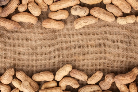 unpeeled peanuts lying on burlap can be used as backgroundの写真素材