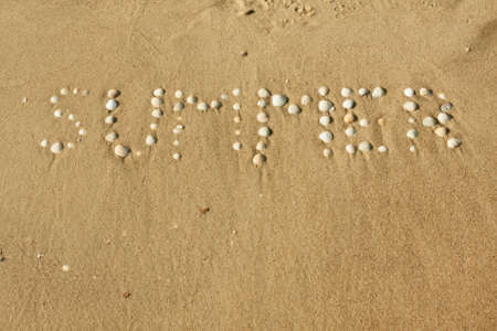 Word summer laid out seashells on the sand as the background