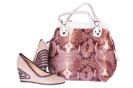 beige suede shoes and a bag of snakeskin, isolated on white