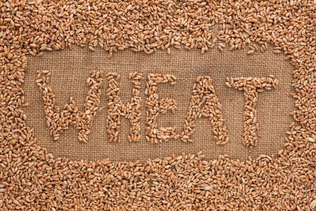 Word wheat  written on burlap , background の写真素材