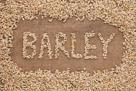 Word barley written on burlap , background の写真素材