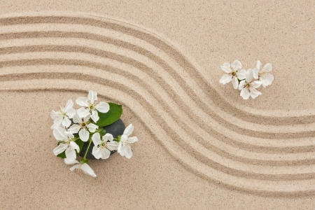 Flowers on the sand, can be used as backgroundの写真素材