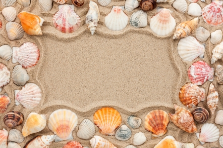 Frame of seashells on the sand
の写真素材