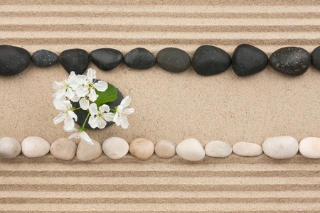 Flowers on the sand between the stones, can be used as backgroundの写真素材