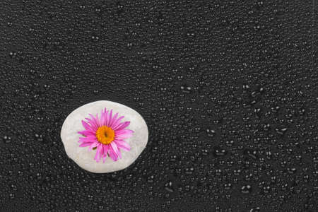 White stone with flower lies on a black backgroundの写真素材